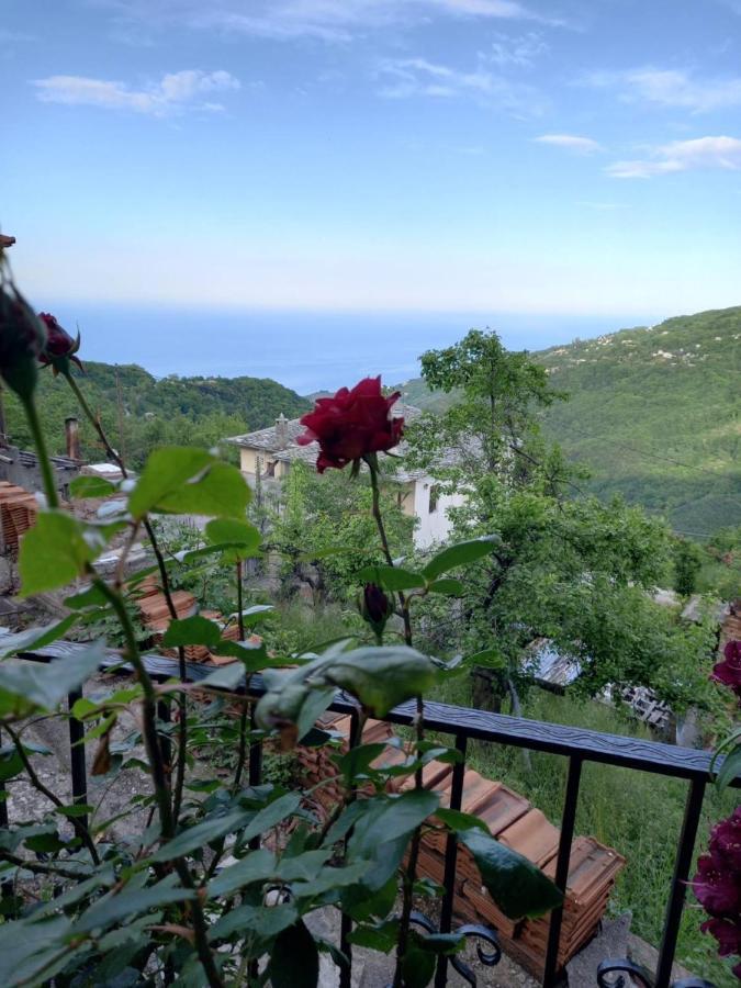 Orizontas Pilio Villa Kissos (Thessaly)
