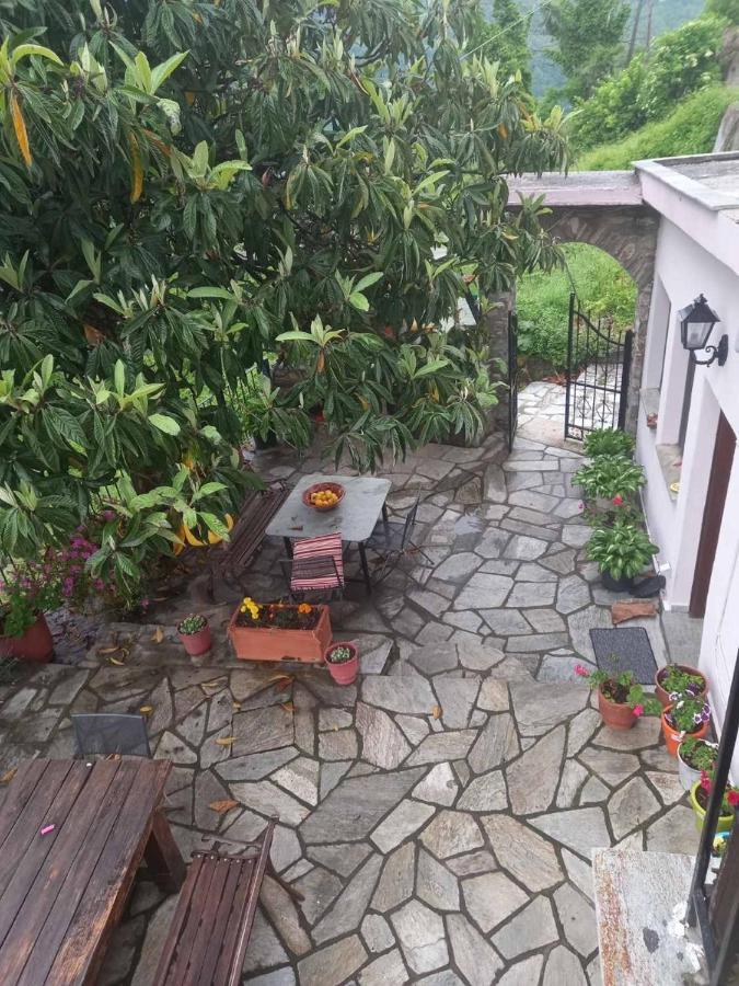 Orizontas Pilio Villa Kissos (Thessaly)