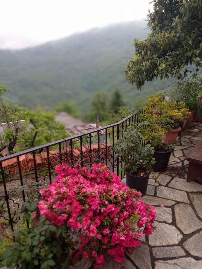 Villa Orizontas Pilio