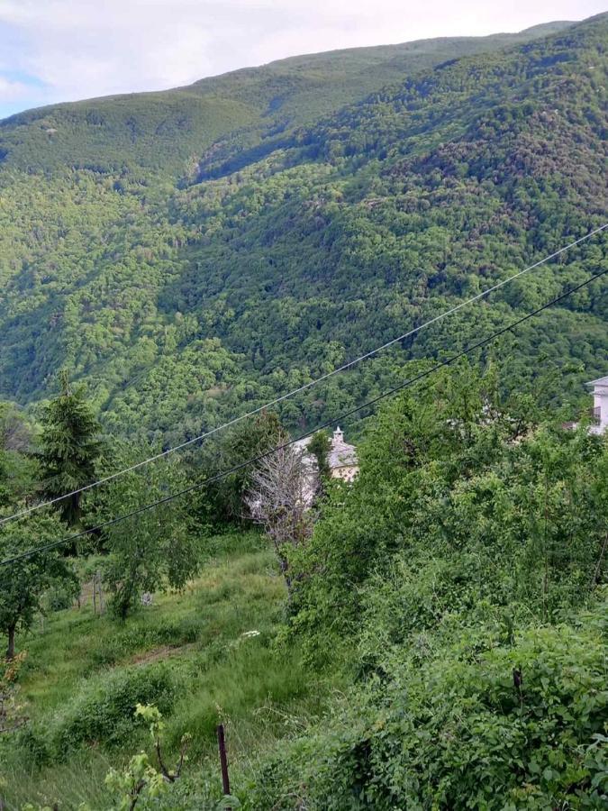 Orizontas Pilio * Kissos (Thessaly)