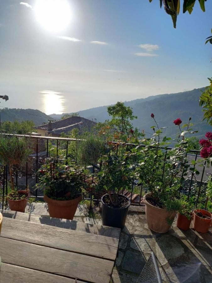 Villa Orizontas Pilio