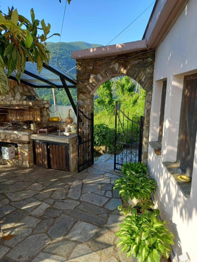 Orizontas Pilio * Kissos (Thessaly)