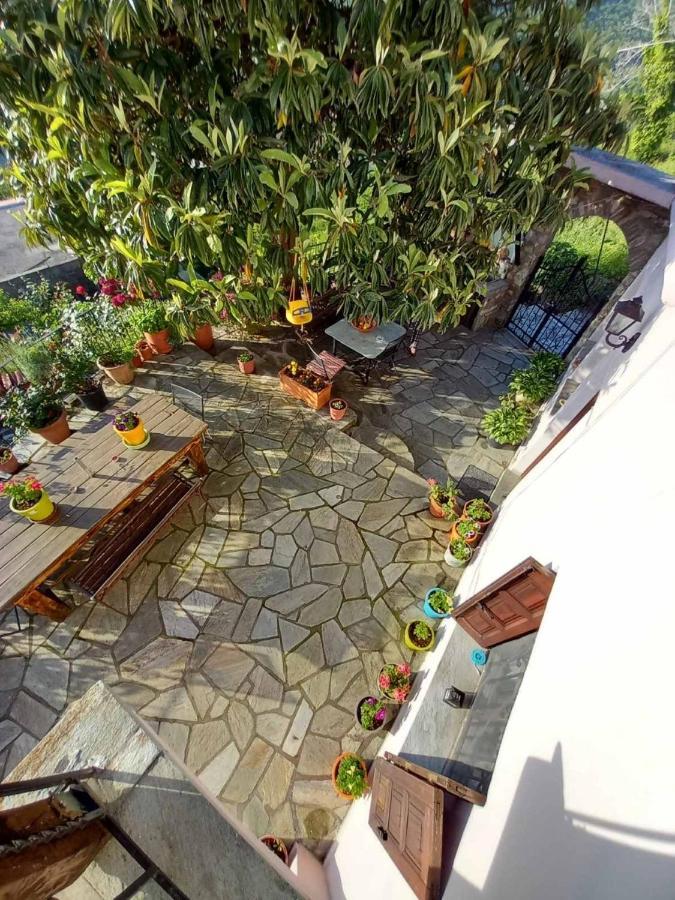 Villa Orizontas Pilio